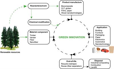 Sustainable Wood Nanotechnologies for Wood Composites Processed by In-Situ Polymerization